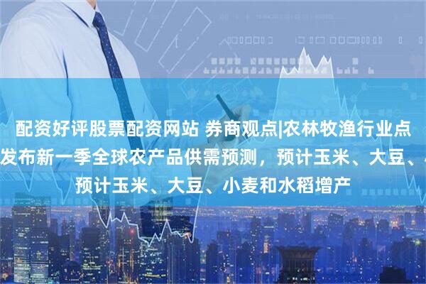 配资好评股票配资网站 券商观点|农林牧渔行业点评报告：USDA发布新一季全球农产品供需预测，预计玉米、大豆、小麦和水稻增产