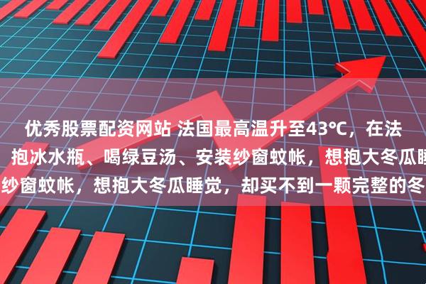 优秀股票配资网站 法国最高温升至43℃，在法华人应对高温各显神通：抱冰水瓶、喝绿豆汤、安装纱窗蚊帐，想抱大冬瓜睡觉，却买不到一颗完整的冬瓜